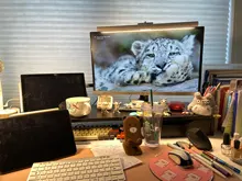 Light-Bar Desk-Lamp Reading-Light Laptop-Screen Computer Monito Hanging Study Office