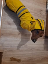 Jumpsuit Hoodies Pet-Coat Rain-Jacket Reflective French-Bulldog-S-2xl Waterproof Medium