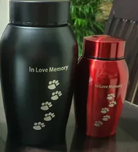 Urnas de acero inoxidable doradas y negras para mascotas, urnas para perro, gato, pájaro, cremación, cenizas, urna de recuerdo
