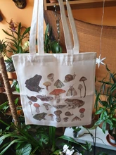 Bolso de lona con estampado de rana para mujer, bolsa de gran capacidad estilo Harajuku, Estilo Vintage Hip Hop, bolso de hombro para chicas Kawaii