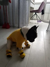 Ropa de perro de moda ropa de invierno para perros pequeños perros mediano chaqueta de abrigo Chihuahua ropa para mascotas para pequeño mediano perros Carlino