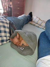 Pantuflas cálidas para invierno para perro, cama suave y encantadora para gato y perro, cojín de Mascota, productos de alta calidad