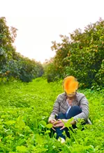 Abrigo de plumón ultraligero para mujer, chaqueta de plumón de pato sin cuello redondo, acolchado, portátil, novedad de invierno 2020