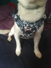 Truelove-arnés Floral sin tirones para mascotas, tela de algodón transpirable y reflectante, suave, para gatos y perros pequeños y medianos, para caminar y correr, TLH5655