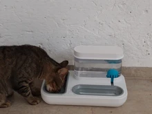 Cuenco de Gato de 4 estilos para perros, alimentador de gatos, bebedero automático para gatitos, capacidad de 1.5L, productos de alimentación para cachorros