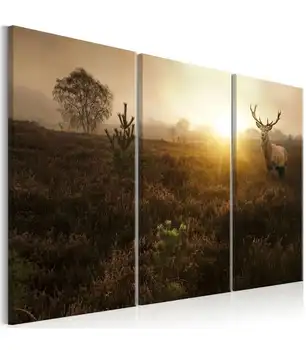 

Picture-Foggy Field I