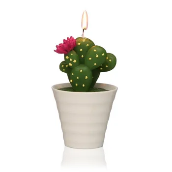 

Candle Paraffin Cactus