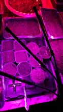 LED Grow Light USB Phyto Lamp Full Spectrum Grow Tent Complete Kit Phytolamp for Plants