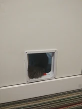 Pet-Gate Door-Kit Flap-Door Security-Lock Dog Cat Abs-Plastic Kitten with 4-Way for Small