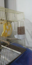 Bowls Drinker Bird-Feeder Pet-Dispenser Pet-Parrot-Cage Plastic Food-Water-Feeding Automatic