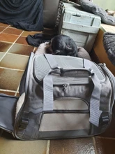 Dog-Carrier-Bags Airline Pet-Cat-Dog-Backpack Portable Cats Small Dog for Approved