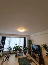 Panel-Light Ceiling-Lamp Surface-Mount LED Bedroom Kitchen Ultra-Thin 220V 24W 36W 18W