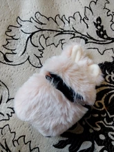 Ear-Fur-Case Capa Carabiner Plush-Cover Apple Airpods Rabbit Soft Wireless for 1-2/Wireless/Charging-fluffy-box