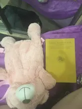 Mochila De felpa para mujer, nueva mochila de muñecos, bolsa informal con personalidad de oso de dibujos animados, B2305