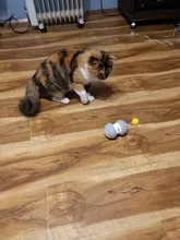 Smart Electronic Cat Toy Interactive Automatic Rotating Running Led Teaser Pet Cat Funny