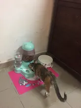 Alimentador automático de mascotas, para perros y gatos, depósito de comida de 2.2L y de agua de 528ml, suministro lento de comida