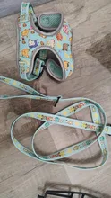 Arnés para perro o gato reflectante personalizado, chaleco para mascota, conjunto de correa ajustable para caminar para cachorro, perros medianos y pequeños, suministros para mascotas Chihuahua