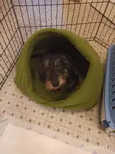 Dog-Bed House Nest Dog-Cushion Cat-Sleeping-Bag Soft Warm for High-Quality 10c15 Pet-Dog