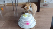 Ball Cat-Toys Play Cat Intelligence Tower-Tracks-Disc Training Amusement-Plate