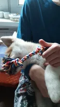 1 Uds Algodón Doble mascotas Molar perro cuerda perros de compañía Durable hueso trenzado cuerda juguetes para morder para mascotas los dientes suministros de limpieza