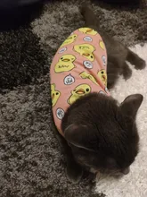 Ropa con estampado de patos para perros pequeños, Camiseta de algodón para cachorros y gatos, chaleco, camisas con perro Chihuahua