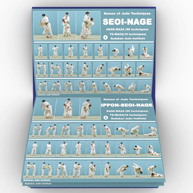 Kodokan Judo Throwing Techniques