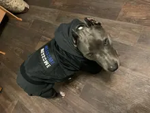 Dog-Coat Winter HOOPET for Dogs Clothing Warm Christmas Big