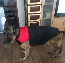 Dog-Jacket Puppy Dogs French Bulldog Waterproof Vest Hoodies Pet-Dog Small Winter Large