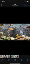 Diffuser Aquarium Bubble-Wall Air-Stone Fish-Tank Aeration-Tube Oxygen-Pump And Without