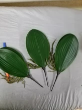 Party-Decoration Flower-Leaf Wedding Plastic Artificial-Green Home 1pc F11 Butterfly
