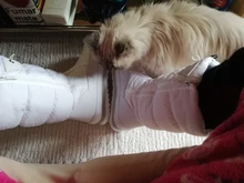 Botas de nieve para mujer, botines gruesos de felpa, impermeables, antideslizantes, hasta el muslo, a la moda, cálidos, 2021