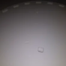 Running-Disc-Toy Hamster Exercise-Wheel Sport Pet 1pcs Totoro Funny