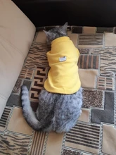 Ropa de perro de moda ropa de invierno para perros pequeños perros mediano chaqueta de abrigo Chihuahua ropa para mascotas para pequeño mediano perros Carlino