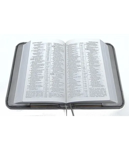 Bible-новое издание