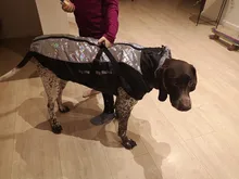 Pet-Dog-Clothes Clothing Walking-Harness Dogs Outdoor Waterproof Large Winter Medium