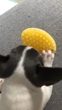 Comb Cleaner Massage-Brush Pet-Washer Quickly-Cleaing-Brush Dog Cat Silicone Pet-Products