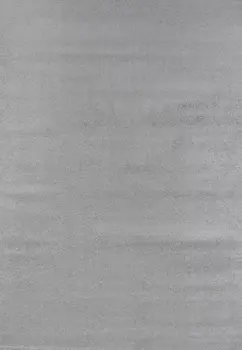 

Quantity Surveying Penelope 7 'x 10' Polypropylene Grey Area Rug