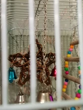 PipiFren Parrot Toys For Bird Pentagram Accessories Supplies Cockatiel Perch Toy Budgie