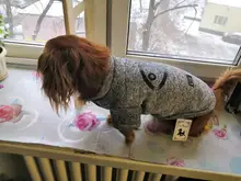 Pet-Dog-Clothes Jacket Coat Puppy Dogs Chihuahua Cotton for Warm Thick And Thin