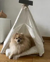 Tipi de Gato con cojín y pizarra para perros, carpa portátil para perros y casas de mascotas, tienda plegable de lona de madera para mascotas, cama para animales pequeños