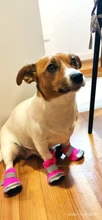 Pet-Boots Cat-Shoes Dog Small-Dogs Puppy-Socks Protecters Rain-Snow Anti-Slip Winter