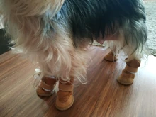 Cálido invierno gato Perro Zapatos para perros no-slip Perro botas de nieve Chihuahua Shih Tzu zapato Zapatos Perro mejor venta 2018 productos