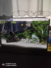 Luces LED para cultivo de plantas, luces para peceras, luces pequeñas con Clip, accesorios de irradiación para acuario, lámpara de decoración