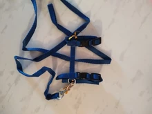 Pet Cat Collar Harness And Leash Adjustable Nylon Pet Traction Dog Kitten Halter Collar