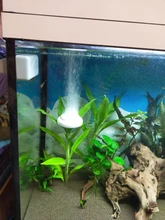 Bandeja de Nano burbujas para acuario, accesorios de bomba de oxígeno, bandeja para ARENA, bomba de aire, piedra