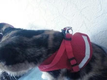 Arnés y correa reflectantes para gato, ropa transpirable a prueba de Escape para mascotas, chaleco ajustable de fácil Control