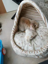 Cat Bed Nest Kennel Dog-Beds Cat-House Princess-Bed Dogs Washable Small Warm for Pet-Dog