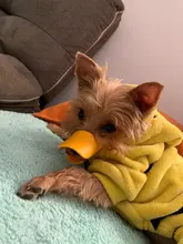 Bozal de silicona para perros, máscara bozal antimordida para perros pequeños y grandes, boquillas para la boca, accesorios de mascota perro