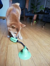 Juguetes de perro ventosa de silicona para perros de compañía Tug interactivo bola juguetes para mascotas masticar morder los dientes cepillo de limpieza de los perros Juguetes
