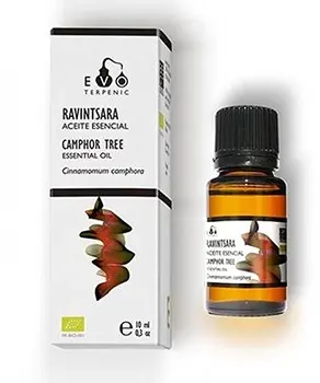 

Terpenic Evo Ravintsara - 10 ml